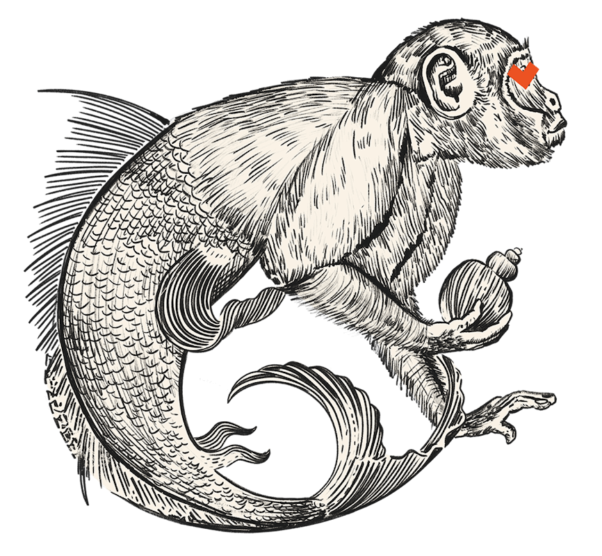 Fiji mermaid, black lines, white fill
