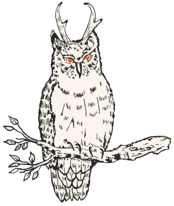 A horned owl